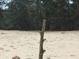 2018-04-15 Jeugdkamp - BC-pupillen - 159